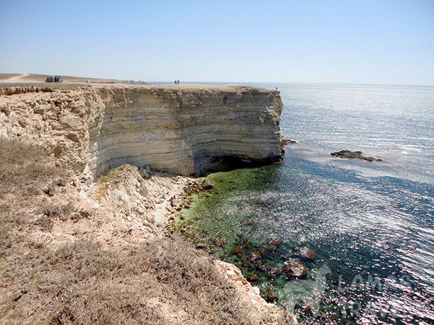 Ламы. Море. Тарханкут. Фото 7